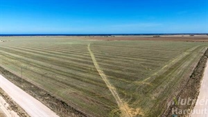 Another strong auction price for YP farm land despite the salt lake