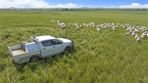 Farmers fear price hike with electric ute push