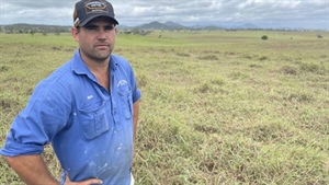 Call for more money into pasture dieback research