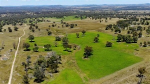 Productive Tablelands grazing country with wind turbine potential