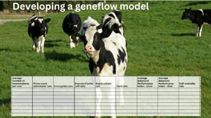 How to develop and use a geneflow model to manage your dairy farm