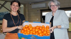 WA's remarkable citrus success story offered up for sale