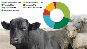 Queensland has the most cattle but there is more money in beef in the south