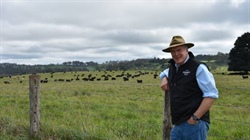 Beef can now talk 'beyond net zero', Wilmot's Alasdair MacLeod says