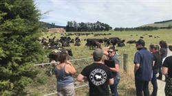 Inspiring mentor sought for young dairy farmer tour to New Zealand