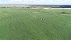 Improved beef powerhouse with irrigation and dryland cropping