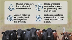 Beef's high scores on animal welfare, looking after environment and climate