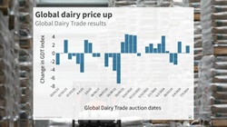 Global dairy prices lift as Australian milk production continues to grow