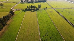 Lancaster dairy farm for sale 'one of the region's best'