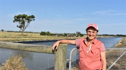 Rabobank predicting farmgate milk price to drop by more than 10 per cent