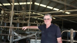 VFF's commodity council withdrawal 'silly stuff' says dairy boss