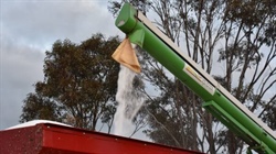 Promising news on global fert values