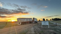 Live sheep inquiry submissions detail industry hardship