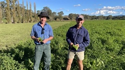 People, planet and profitability focus brings success for NSW dairy