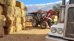 Why mental ill-health is on the increase across rural Australia