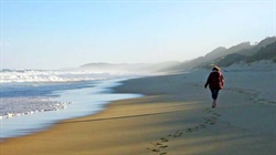 Nature lover's beach escape - snapped up quicker than a seagull's chip