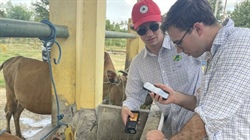 Smart 'by-product' nutrition grows Indonesia's food security | Video