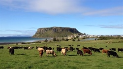The simple formula the king of branded Australian beef, Cape Grim, was built on