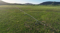 Negotiations continuing on grazing, irrigation, lifestyle property
