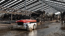 Watch how this robotic vacuum pump cleans up manure in dairy barns