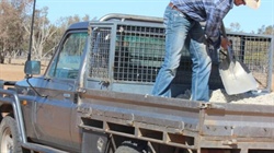 Producers in the dry south urged to kick drought plans into top gear