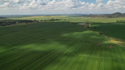 Caradoc Park: Grain and beef powerhouse built for performance | Video