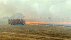 Grampian bushfire rages; livestock losses kept to a minimum, farm gear lost