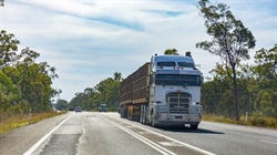 Labor announces $7b funding injection for beleagured Bruce Highway