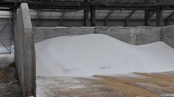 Urea affordability continue to remain better for new cropping season