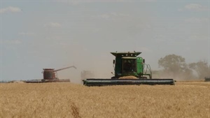 Welcome to the 1950s again: Farm profits are averaging historical highs