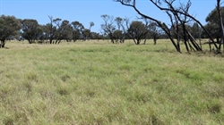 AAM's large-scale central west Mt Harden aggregation on the market | Video