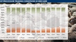 Sheep processing: cautious optimism as sector shows early signs of recovery