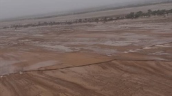 Counting the losses: The toll Qld flooding will have on sheep producers