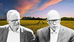 Polly waffle: Why the 2025 election could be a fizzer for ag and regions