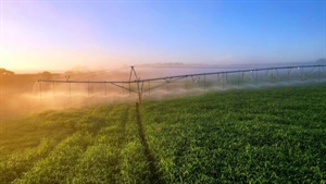 High-performing Western District farm with 1000-head feedlot up for grabs
