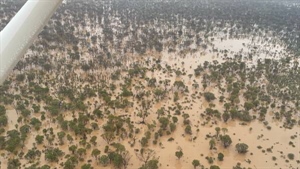 Pop-up PM: Albo still to visit flood-hit outback Queensland's disaster zone