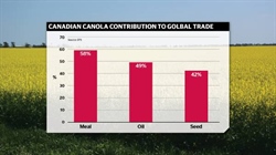 Why Trump's tariffs are good news for Canadian and Aussie canola growers