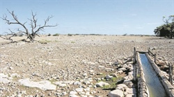 Applications open for PIRSA's $20,000 drought infrastructure grants