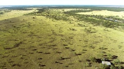 Eumerella: Last floodplain property with farming potential hits the market