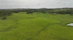 Quality North Queensland cattle property for up to 200 head off to auction