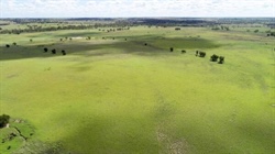 Well-developed cattle country with abundence of grass in a prime location
