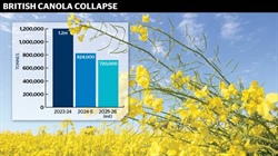 Canola producers get positive market signals as key competitors fall away
