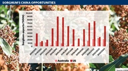 Why aren't we talking more about sorghum's baijiu opportunities in China?