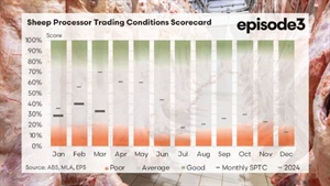 March 2025 data brings a reality check for Australia's sheep processing sector