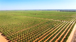 Receivers move to sell major horticulture aggregation across four states
