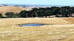 Victoria's West Gippsland retains title as nation's most expensive farmland
