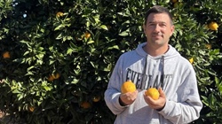 Are 'unrealistic' supermarket standards hindering fruit and veggie growers?