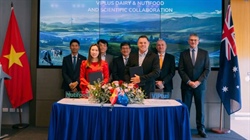 Vietnamese and Australian joint venture to co-found premium milk brand