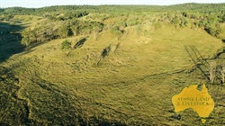 Proven grazing country with plenty of development potential off to auction