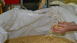 Almond market goes nuts as US trade war makes Australian exports a winner